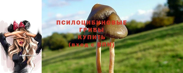 гашиш Абаза