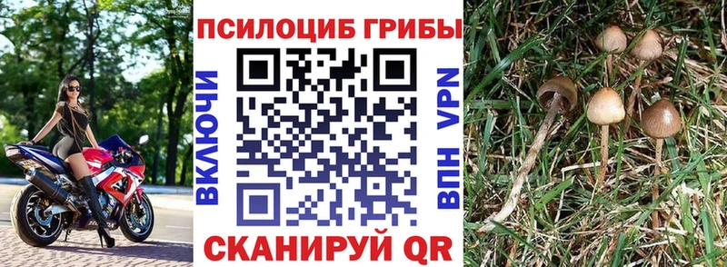 закладка Инза MEGA сайт Галлюциногенные грибы GOLDEN TEACHER
